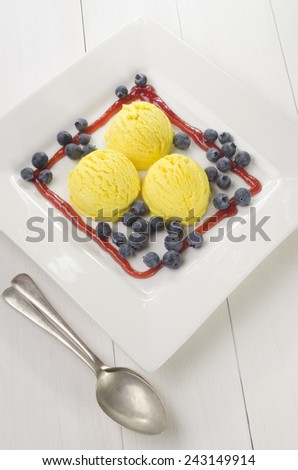 lemon ice cream, blueberries and fruit sauce on a white plate