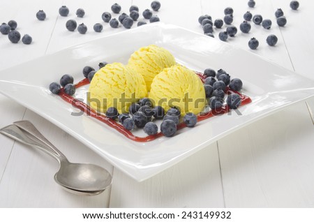 lemon ice cream, blueberries and fruit sauce on a white plate