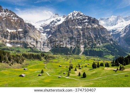 Grindelwald Landscape, Switzerland