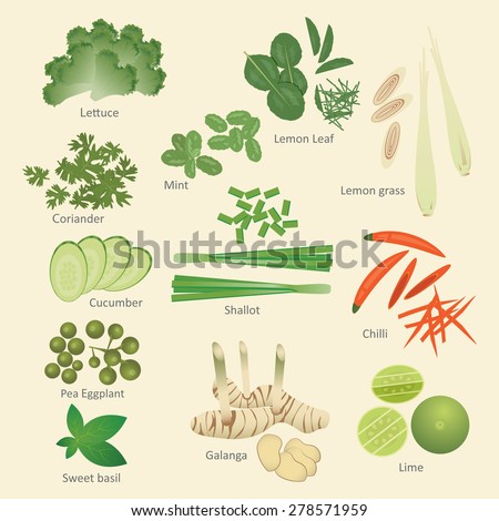 vector illustration set of Thai food ingredients, vegetable,herbs and Thai kitchens isolated