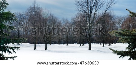 Snow covered golf course