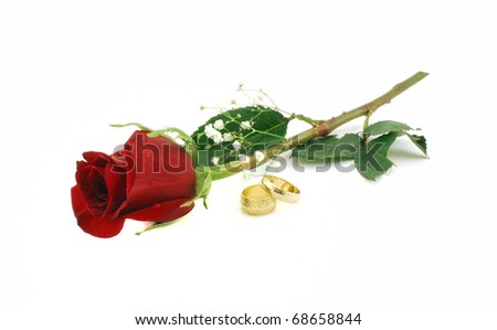 stock photo Red rose and wedding bands