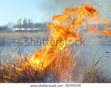 A bright fire is burned by a reed on a lake
