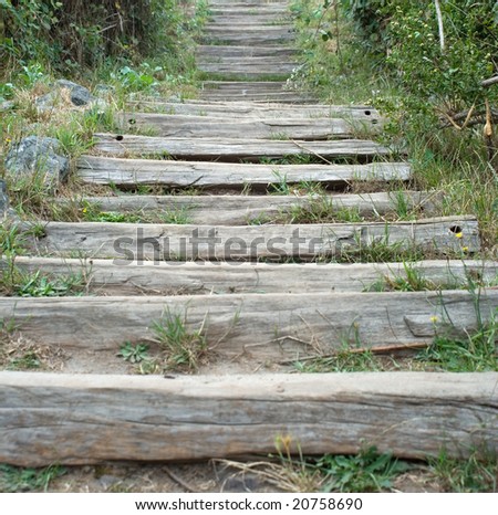 Old Wooden Stairs in the Woods