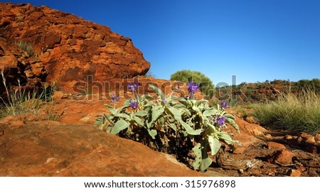 kings canyon, northern territory, australia