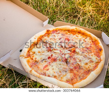 Pizza outdoors in picnic park