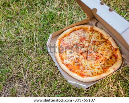 Pizza outdoors in picnic park