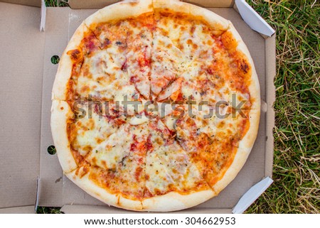 pizza outdoors in picnic