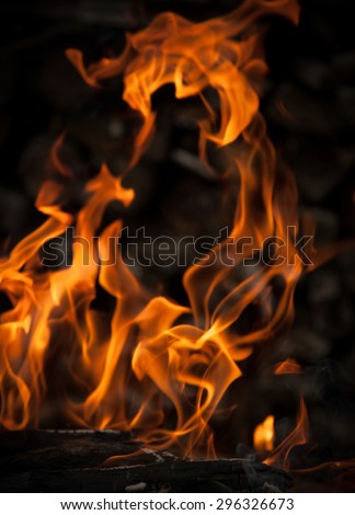 Flames from the fire, Burning wood in fire close-up