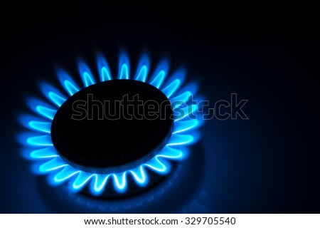 burning gas stove hob blue flames close up in the dark on a black background