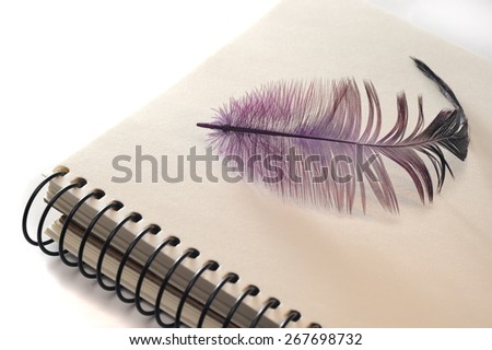 purple feather on notebook