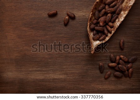Roasted cocoa beans in the dry cocoa pod fruit on a dark wooden table