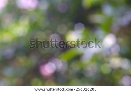 Natural Pink and Green Circle Bokeh from Flowers and Leaves Blink Glitter Texture Background