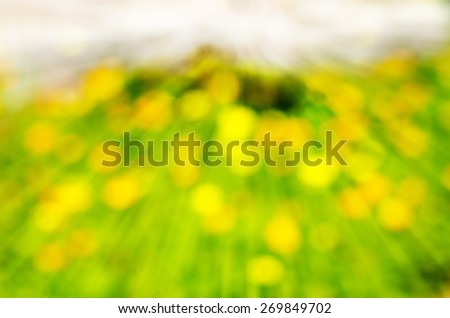 Sunbeam in Nature Bokeh Yellow and Orange Flowers on Green Meadow Background Texture