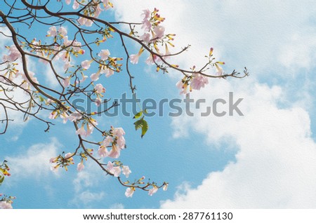 Art Picture Oil Painted of Soft Pink Sakura Flowers Branch in the Blue Sky