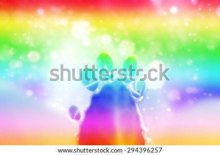 Abstract Rainbow Art Soft Focus Blurred Style of Kalanchoe Blossfeldiana Leaves Background Texture