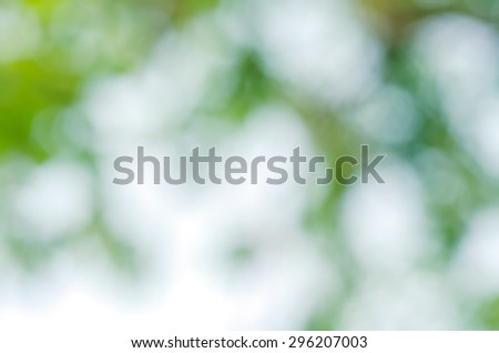 Abstract Natural Green Circle Bokeh Glitter Bright Blurred Background Texture