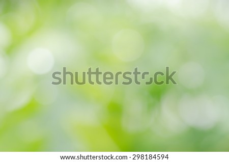 Abstract Natural Pastel Green Circle Bokeh Blurred Background Texture