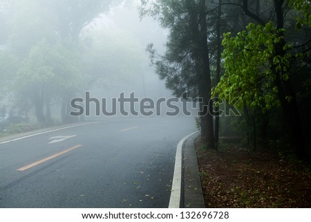 road covered in fog