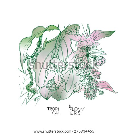 Hand draw tropical flower. Vector illustration. The branch exotic flower. Decorative flowers. Decorative floral background with flowers.