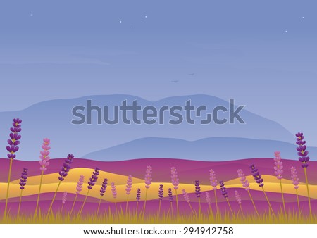 Lavender landscape at sunset showing the first stars to come out at dusk, lavender flowers are in bloom, a golden wheat field and mountains with a birds soaring through the sky in the background.
