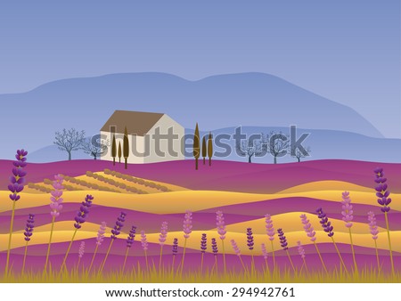 Lavender landscape at summer sunset, lavender flowers are in bloom, a golden wheat field with a vineyard house surrounded by trees, vineyards and cypress with mountains in the background.