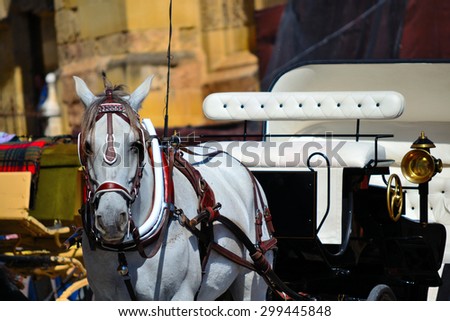 Typical horse drawn carriage used by tourists parked in front of the mosque of Cordoba, Andalusia, southern Spain, waiting for next customers.