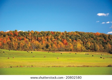 Vermont field fall foliage