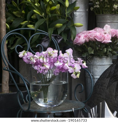 Sweet pea, Lathyrus odoratus, flowers in a crystal vase standing on cast-iron chair.