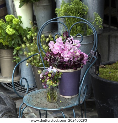 Sweet pea, Lathyrus odoratus, flowers in a purple vase standing on cast-iron chair.