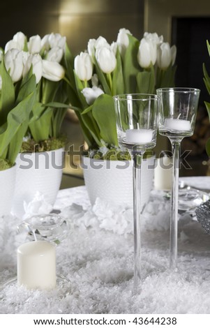 Decoration of the dining table for Valentine\'s Day. White tulip.