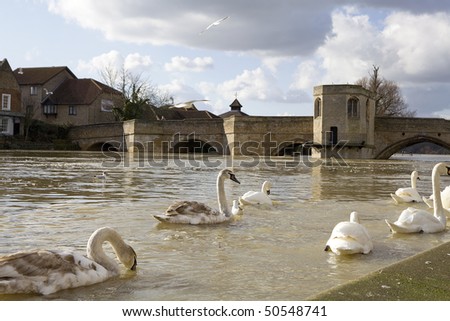 ST IVES, UK - MAR. 01: Water rises high in aftermath of February stormy weather, March 01, 2010 in St Ives, Cambridgeshire, UK