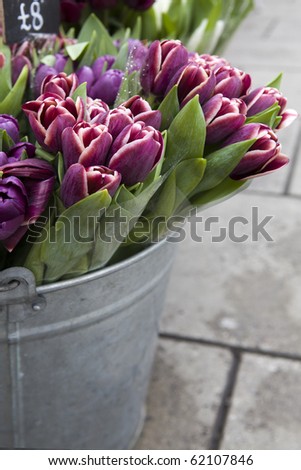 Tulip Basket