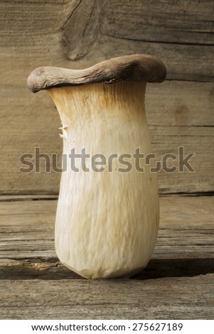 single king oyster mushroom shot on wood front on