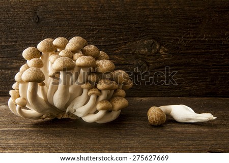 shimeji mushrooms on wood front on
