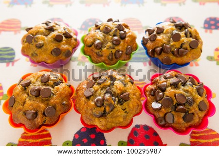 Vanilla flavored muffins with chocolate chips on the top. Shallow depth of field.