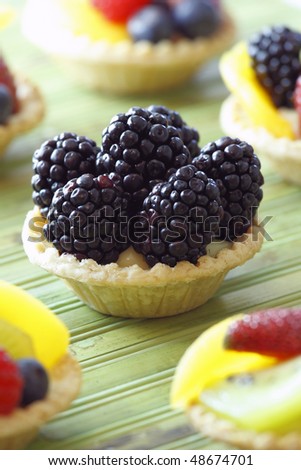 mini fruit tart. Very tasty dessert with a lot of color. Shallow depth of field.