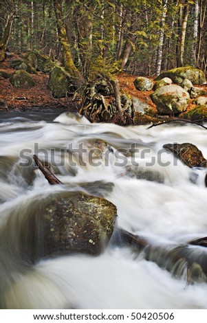 Beautiful cascade in the forest from Cap Tourmente Reserve Quebec Canada. Flowing water with stone.