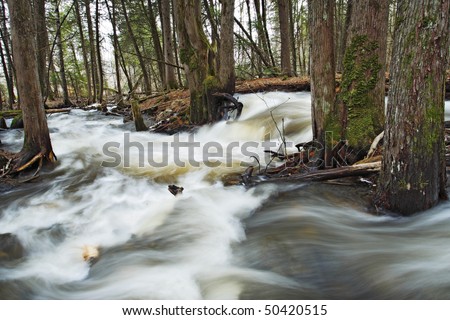 Beautiful cascade in the forest from Cap Tourmente Reserve Quebec Canada. Flowing water with stone.