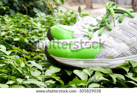 The pairs of green sport shoes on the leaf