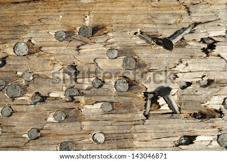 Metal and Wood . Close up image of nail heads in a plank.