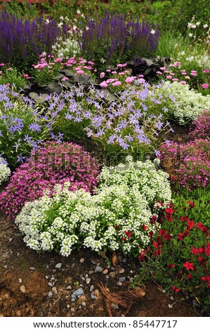 Flower Beds - landscaped garden