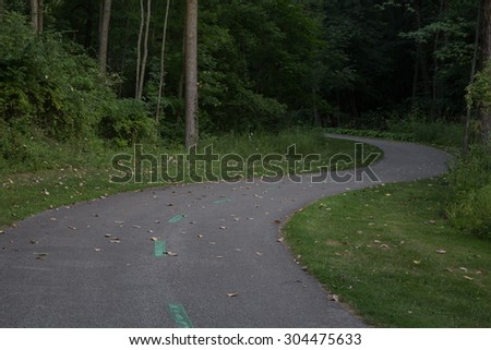 S Shaped trail winds through frame to disappear into the distant trees. Image taken in summer/early fall in a park setting.