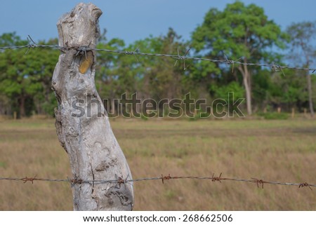 Rustic wooden country fence background