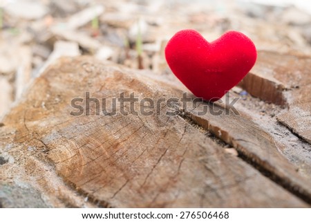 love red heart on stump of tree