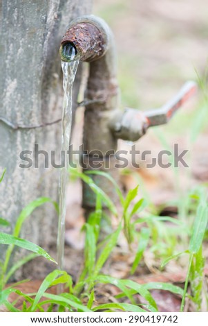 Old rusty water tap with flowing water  in the garden.