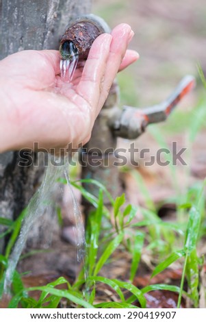 hands catching water from a tap in hands in garden