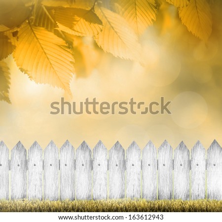 Beautiful colorful Autumn scene with White fence and Fall colors