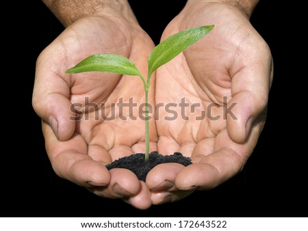 plant in hand isolated on black