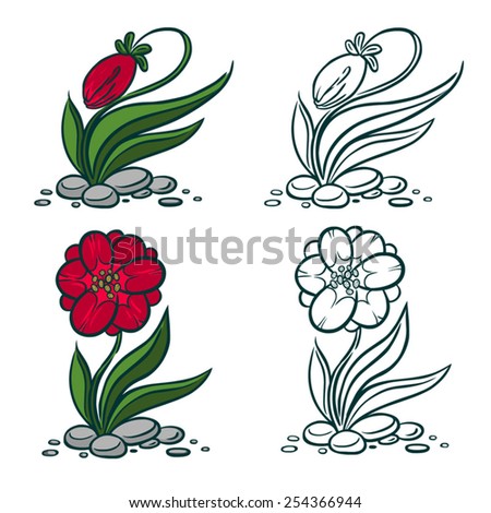 Vector illustration set. Red flower, tulip.